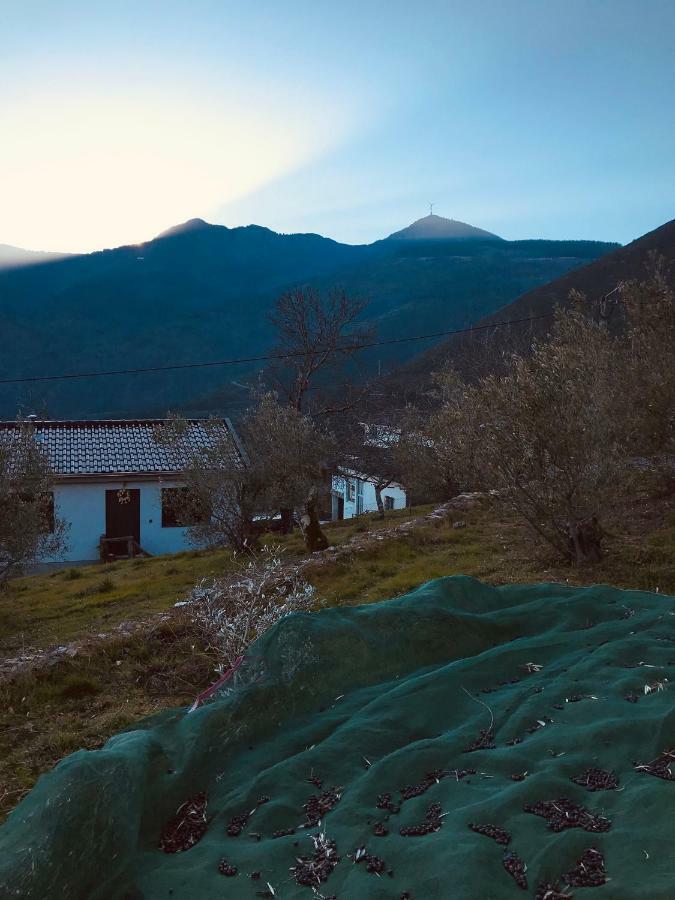 "Casa Da Russa" Mountain Experience Casa de hóspedes Vila Real Exterior foto